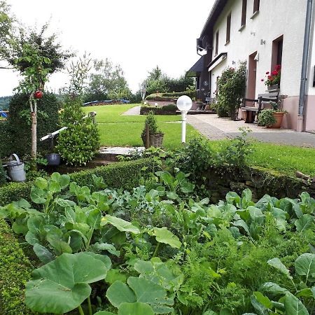 Ferienwohnung Huegelhaus Plütscheid エクステリア 写真