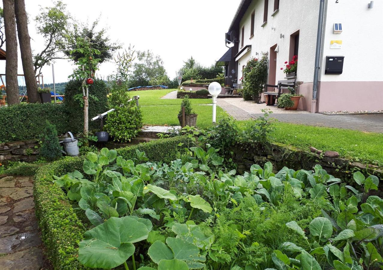 Ferienwohnung Huegelhaus Plütscheid エクステリア 写真